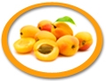 apricot juice concentrate suppliers usa