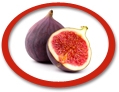 concentrated fig juice suppliers usa