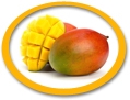 concentrated mango juice suppliers usa