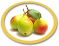 concentrated pear juice suppliers usa
