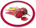 concentrated beetroot juice suppliers